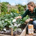 Using Flour in the Garden – A Surprising Pantry Trick for Pest Control