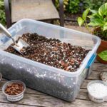Best soil for pothos