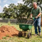 How to Get Rid of Fire Ants (Fast & Safely)