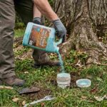 Tree Root Killer: Stop Roots From Clogging Your Pipes